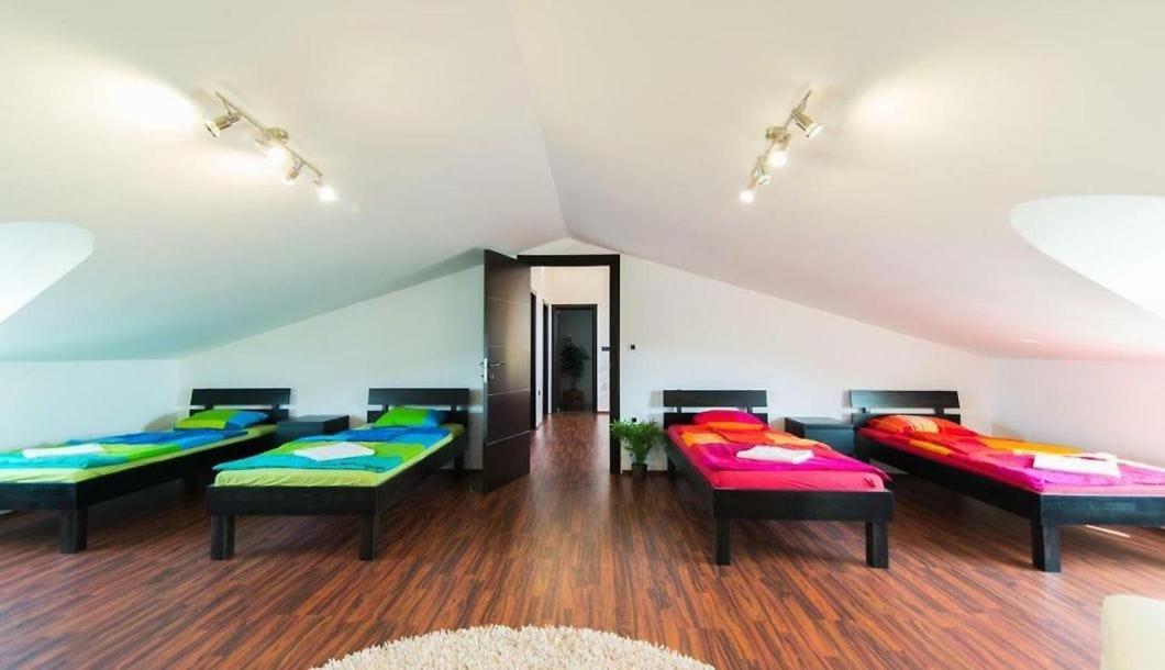Villa Filip - Private Pool & Gym بولا المظهر الخارجي الصورة